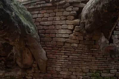 Buttressed through roots and ruins