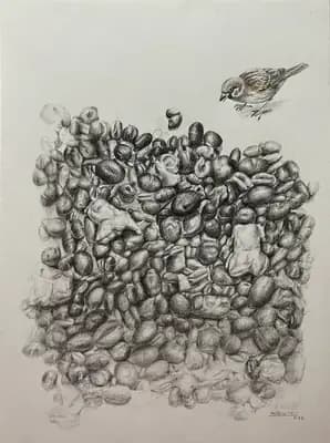 Grains of Roots II