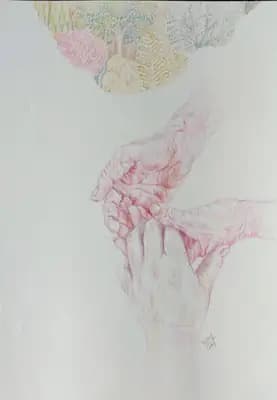 Entwined Fates(I)